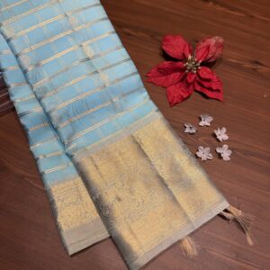 Kanchi pattu vintage