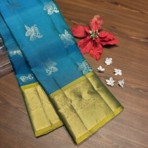 Vintage Kanchi pattu