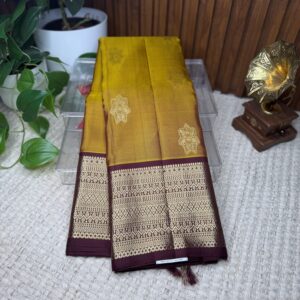 Kanchi pattu