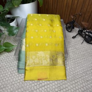 Designer saree