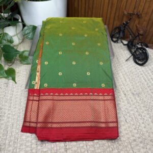 Narayanpet pattu