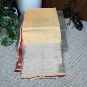 Mangalagiri pattu plain