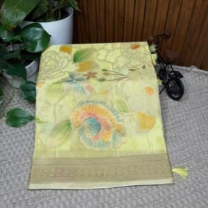 Chinnon crepe brush paint saree