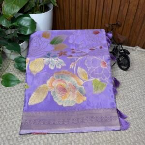 Chinnon crepe brush paint saree