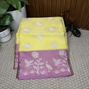 Fancy saree