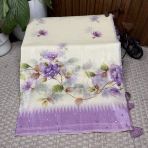 Fancy saree