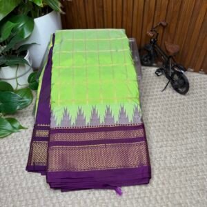 Narayanpet pattu