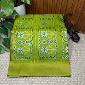 Patola silk